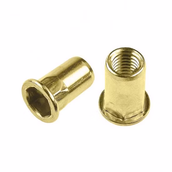 Plat Réduire Tête Hexagonale Réduite Ronde Plaine Fermer Extrémité Ouverte Semi-Hex Moleté Intérieur-Hex Corps Acier SS304 Ss 316 Aluminium M8 M10 Insert Rivnut Rivet Nut Nutsert
