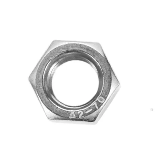 Stainless Steel SS304 SS316 Hex Nut (DIN934)
