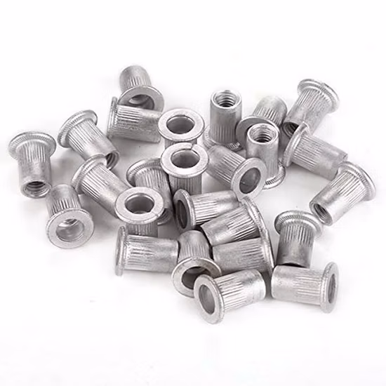 Rivet aveugle d'écrou de rivet plat à tête réduite de Csk de gros de haute qualité